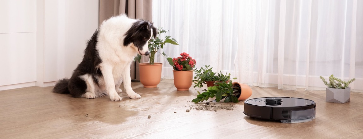 8 Reasons to Love the Roborock S6 MaxV Smart Robot Vacuum Cleaner 8 Reasons to Love the Roborock S6 MaxV Smart Robot Vacuum Cleaner