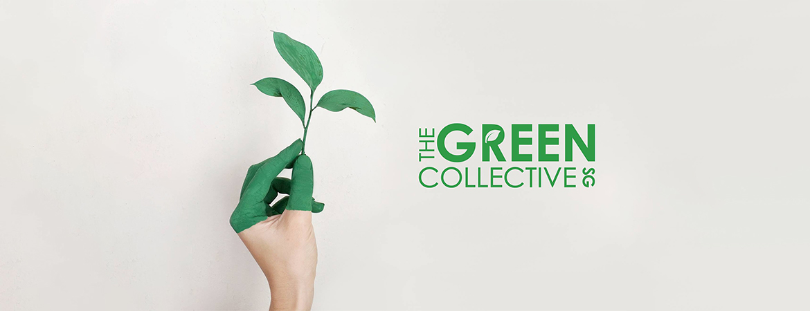 Eco-Conscious Brands in Singapore