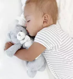 baby 100 days celebration