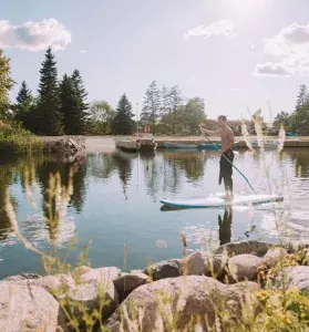 Top 5 Unique Experiences in Estonia - Thumb