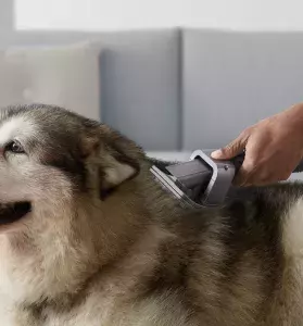 Pet Grooming, Scratch-Free Dusting and The V15 Detect, Dyson’s Most Powerful Cordless Vaccum Yet
